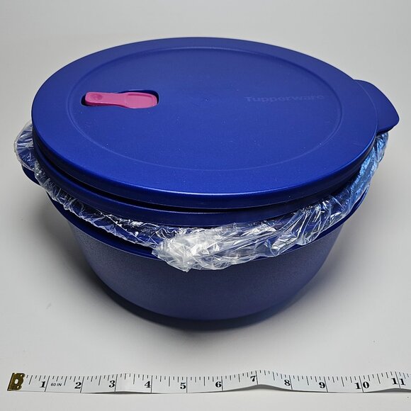 Large Tupperware Cyrstalwave - Blue 3L, 4L, and 2 lids - Picture 1 of 9
